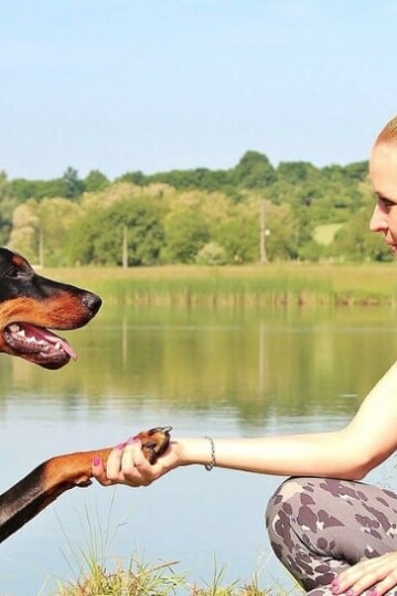 4 Tips for Helping Your Nervous Dog Meet New People