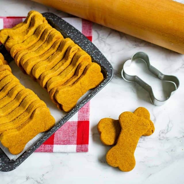 20 of the very Best Homemade Pumpkin Dog Treats Miss Molly Says