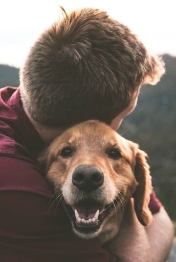 brown dog being hugged by man