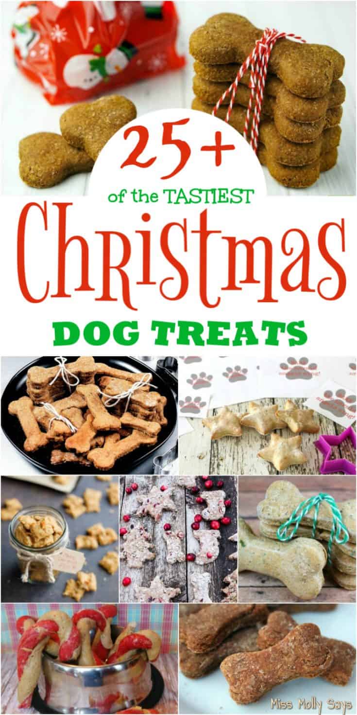 25+ of the TASTIEST Christmas Dog Treats for all Good Pups Miss Molly