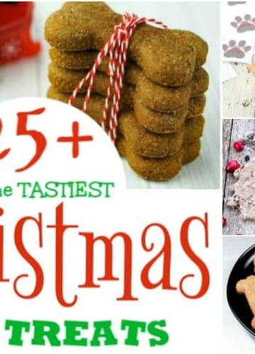 25+ of the TASTIEST Christmas Dog Treats for all Good Pups