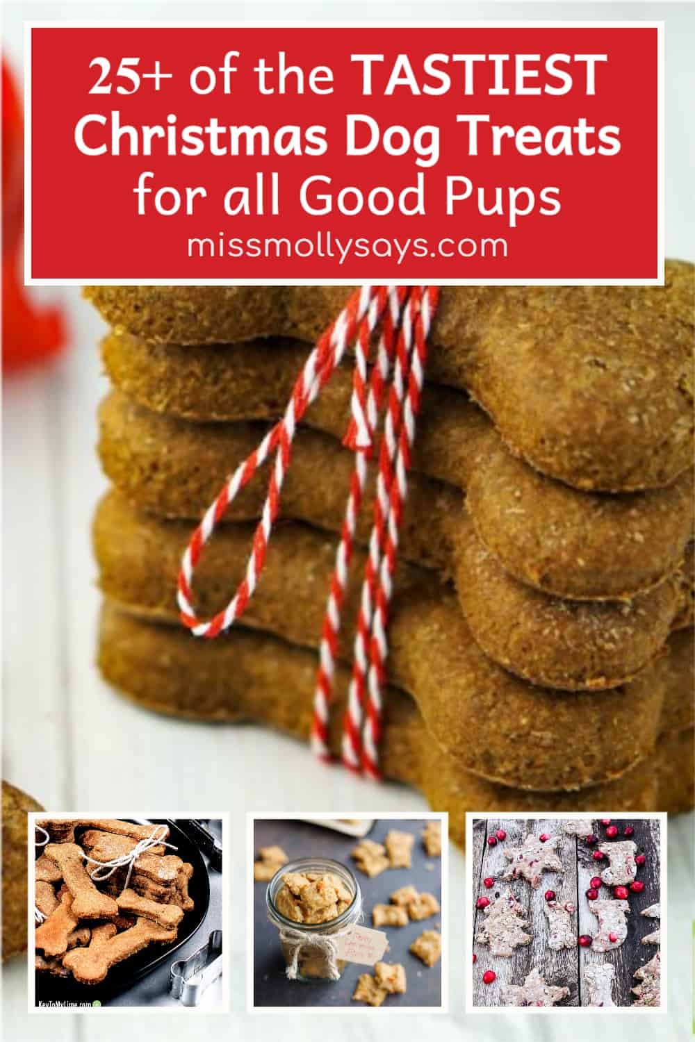 25+ of the TASTIEST Christmas Dog Treats for all Good Pups Miss Molly
