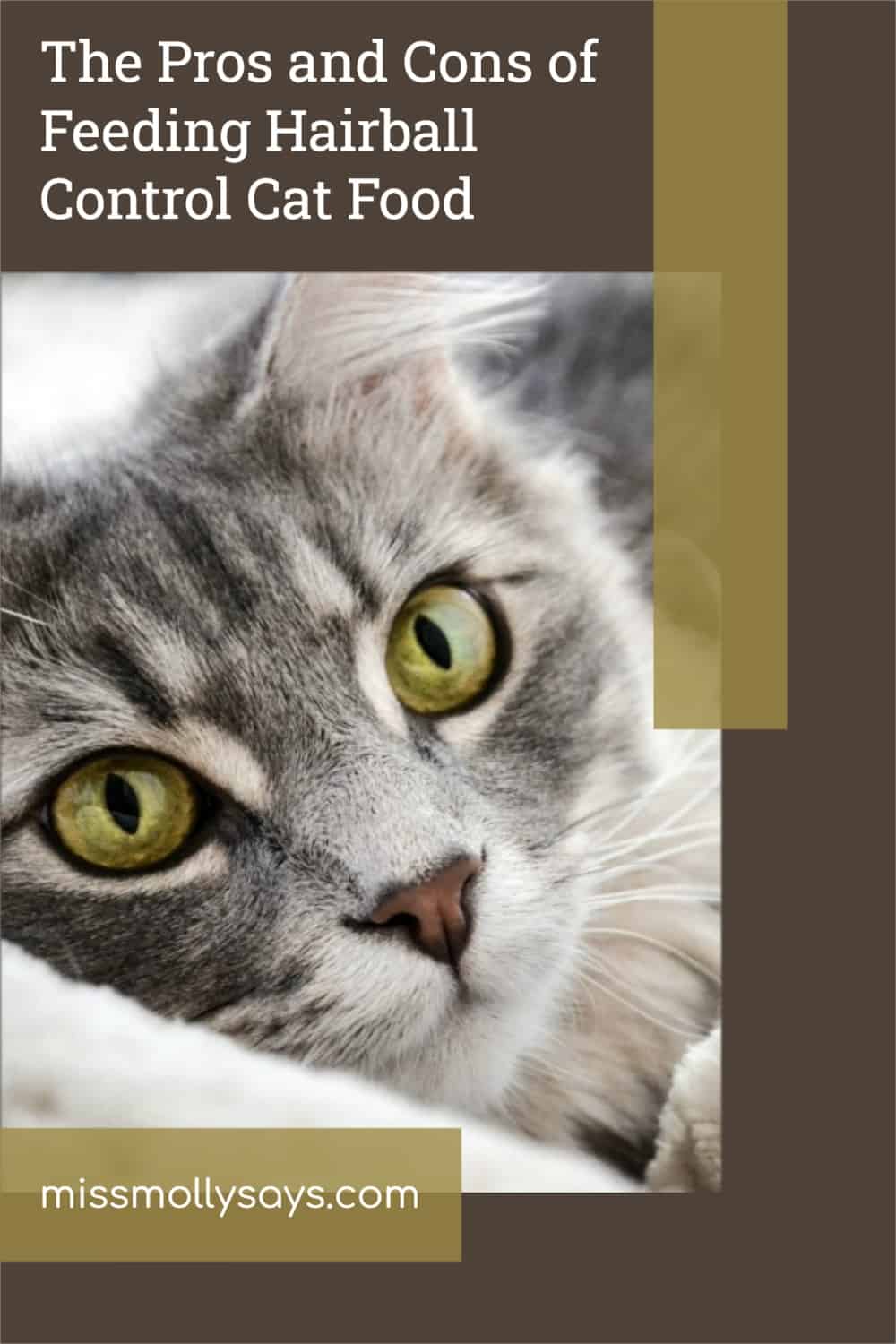 The Pros and Cons of Feeding Hairball Control Cat Food