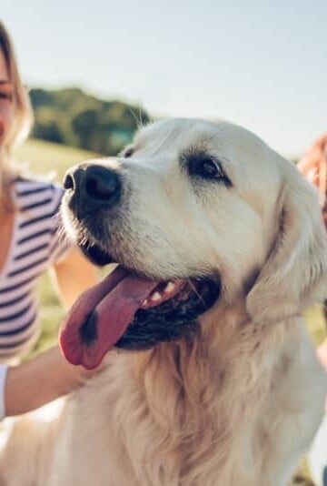 Family having fun with adult Golden Retriever dog