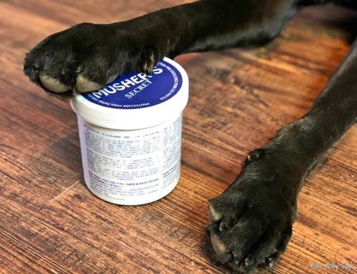 Musher's Secret is the Best Dog Paw Conditioner & Protectant