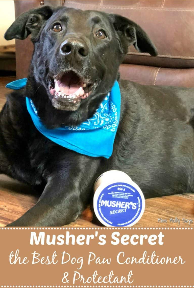 Musher's Secret is the Best Dog Paw Conditioner & Protectant