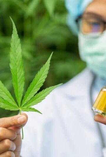 Reasons to Use Hemp Oil for Pets