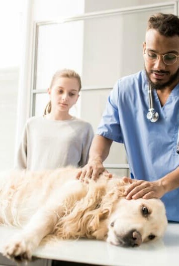 Losing A Best Friend: What to do When Your Pet is Terminal