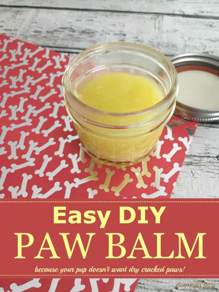 How to Moisturize Your Dog's Paws with an Easy DIY Paw Balm