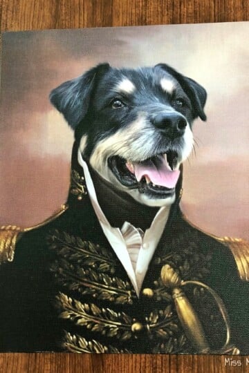 Crown & Paw Pet Portrait - Australian Shepherd, Seager