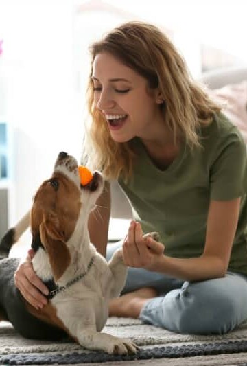 How To Keep Your Dog Healthy During This Pandemic