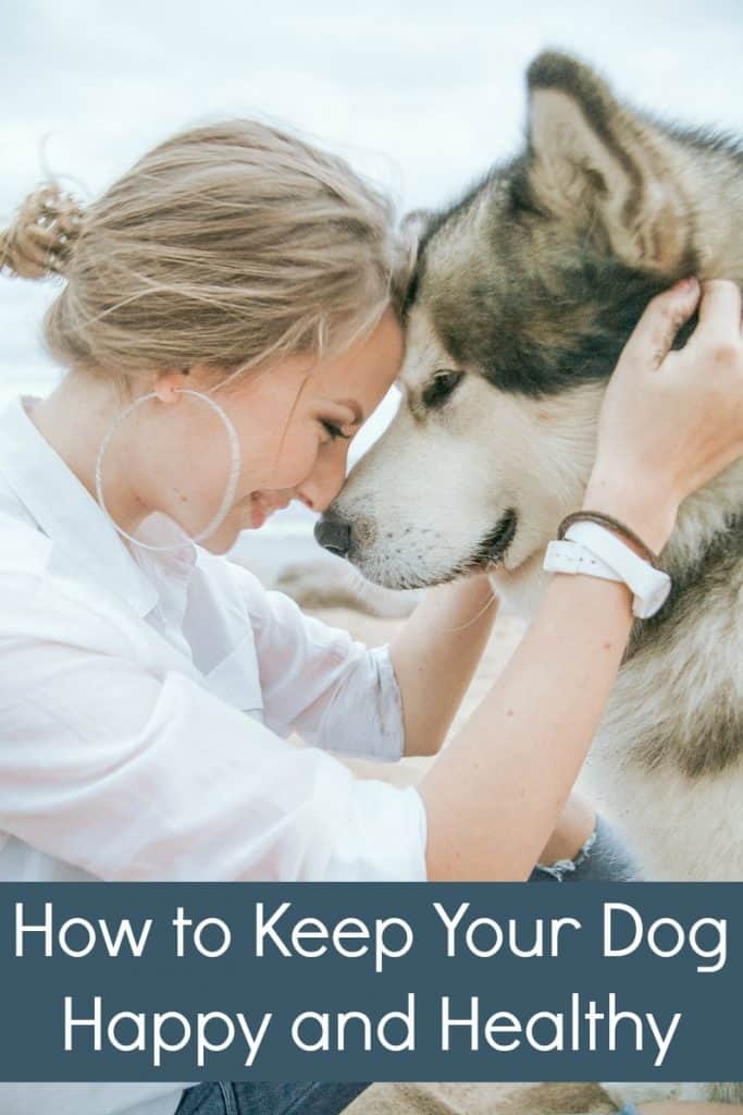 How to Keep Your Dog Happy and Healthy Miss Molly Says