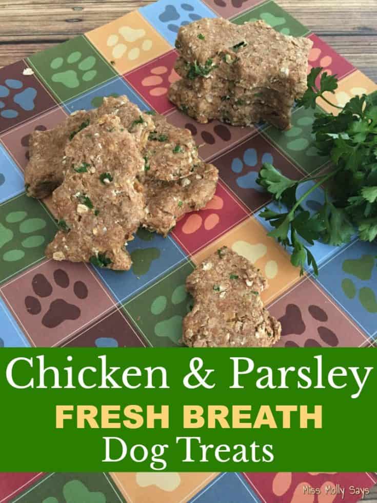 Chicken & Parsley Fresh Breath Dog Treat Recipe Miss Molly Says