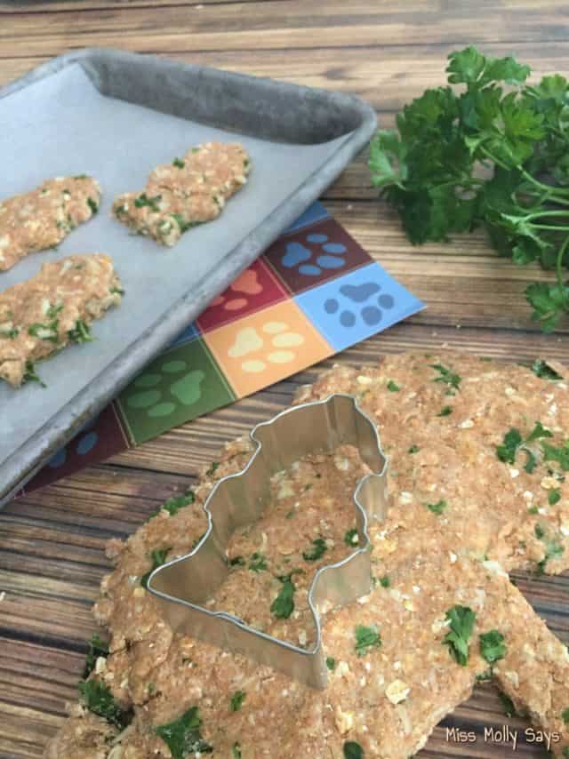 Chicken & Parsley Fresh Breath Dog Treat Recipe Miss Molly Says