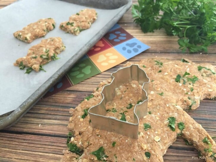 Chicken & Parsley Fresh Breath Dog Treat Recipe Miss Molly Says