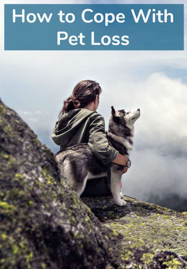 How to Cope With Pet Loss Miss Molly Says
