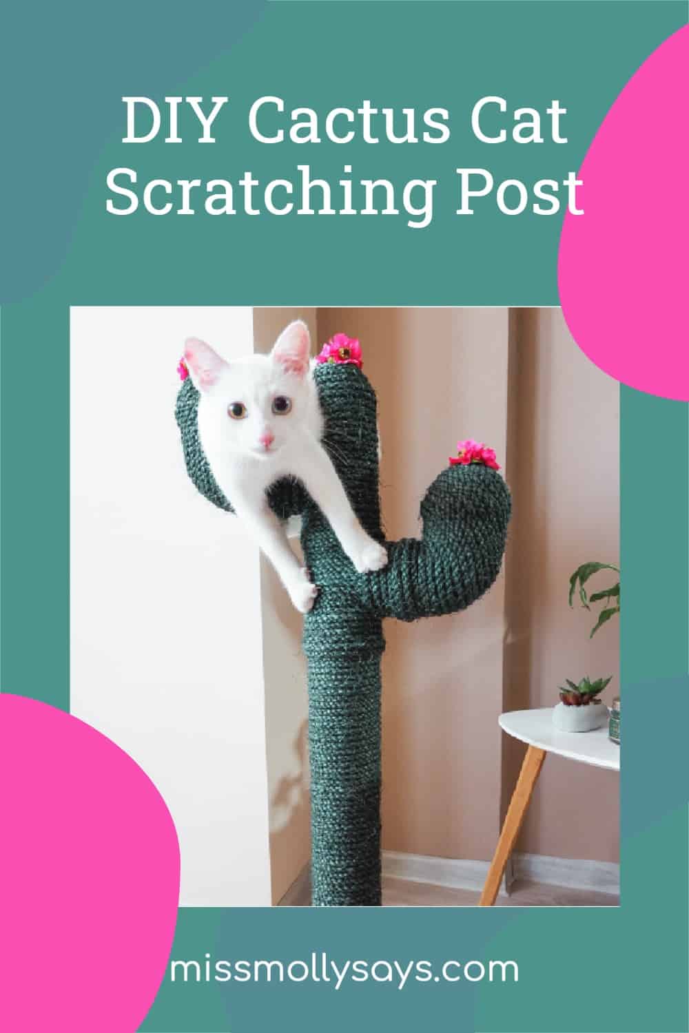 DIY Cactus Cat Scratching Post Miss Molly Says