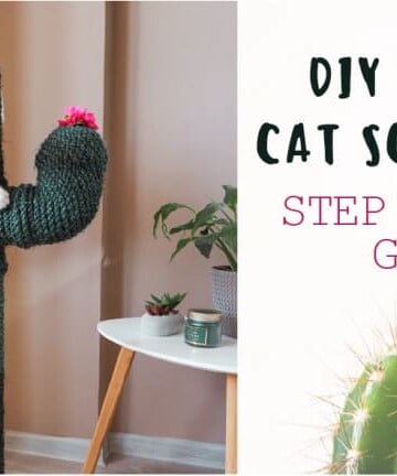 DIY Cactus Cat Scratching Post