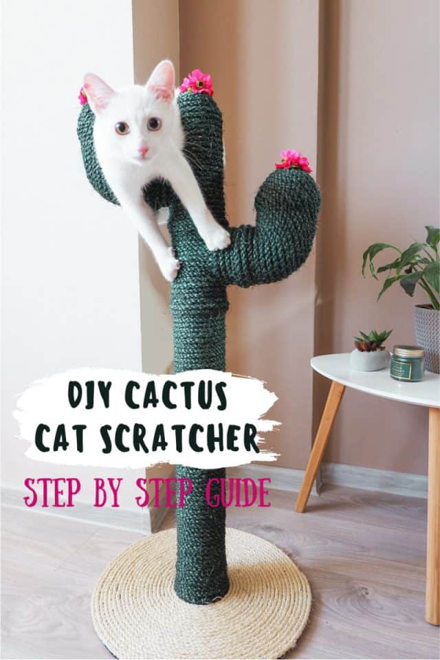 DIY Cactus Cat Scratching Post Miss Molly Says