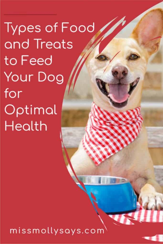 Types of Food and Treats to Feed Your Dog for Optimal Health