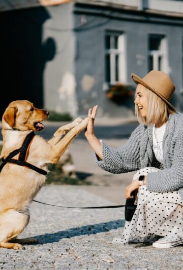 The Importance of Pet Ownership in Millennials