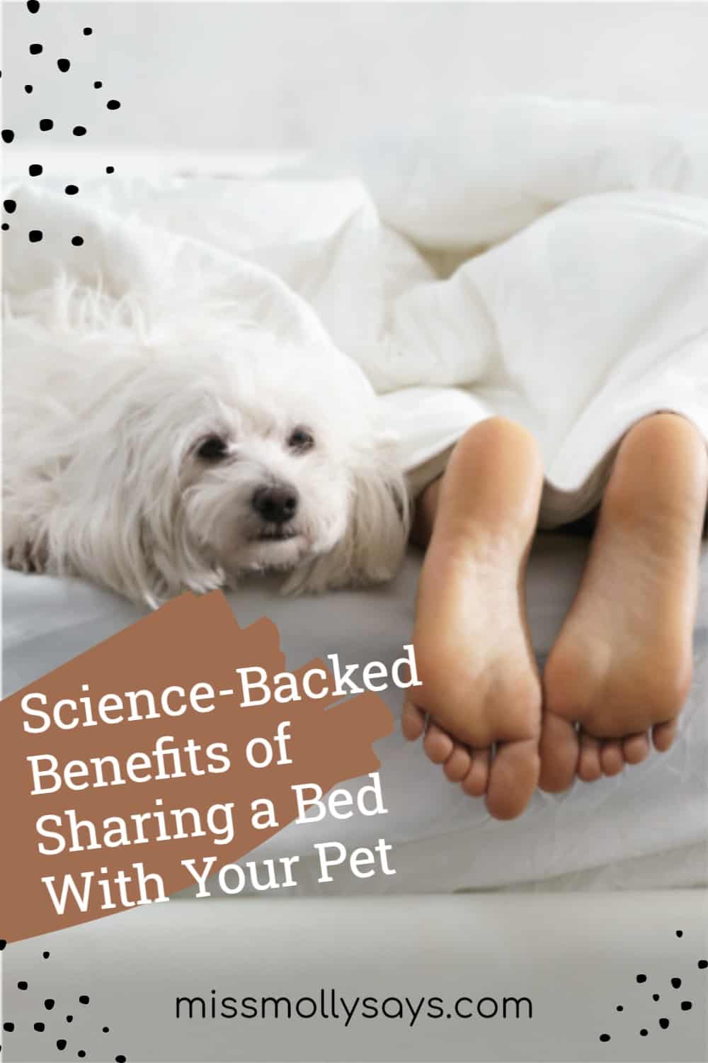 ScienceBacked Benefits of Sharing a Bed With Your Pet Miss Molly Says
