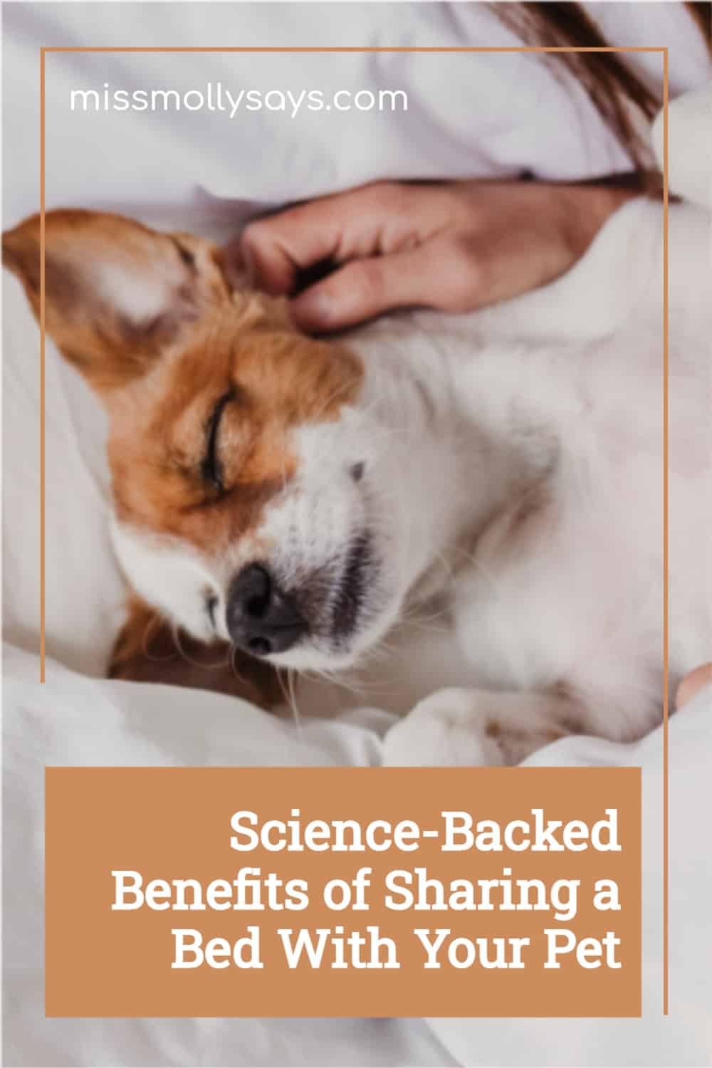ScienceBacked Benefits of Sharing a Bed With Your Pet Miss Molly Says