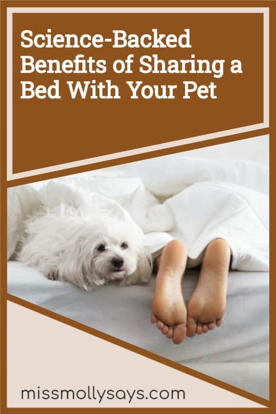 ScienceBacked Benefits of Sharing a Bed With Your Pet Miss Molly Says