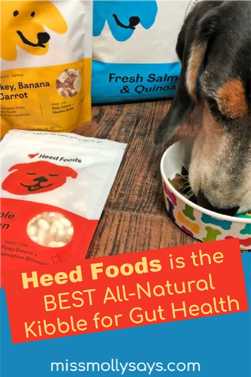 Heed Foods is the BEST AllNatural Kibble for Gut Health Miss Molly Says