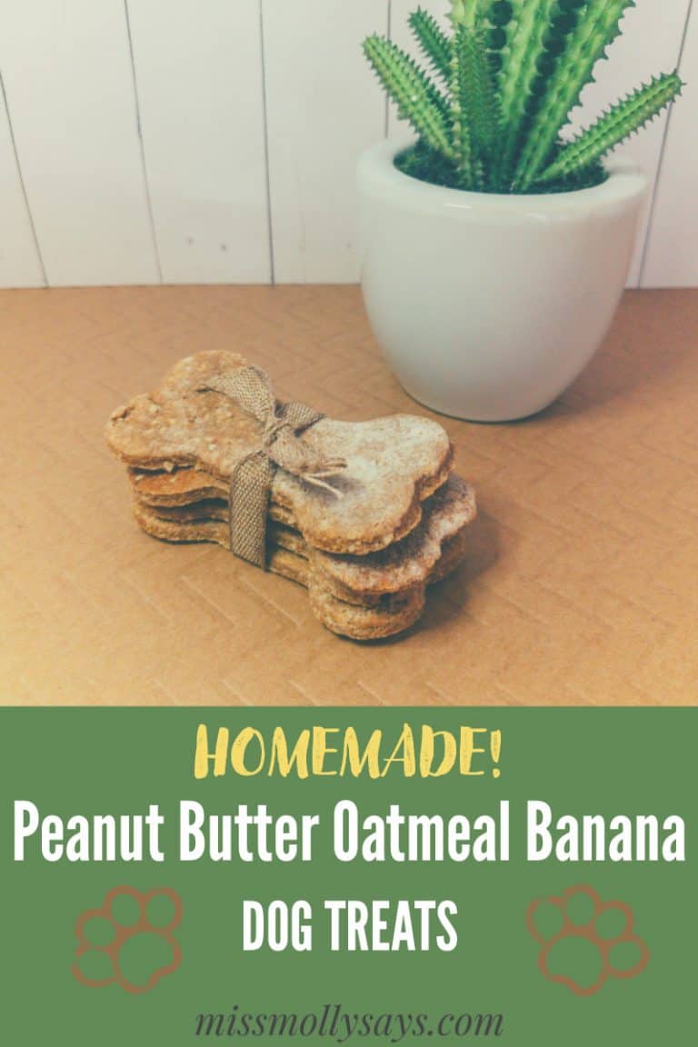 How to Make Peanut Butter Oatmeal Banana Dog Treats Miss Molly Says
