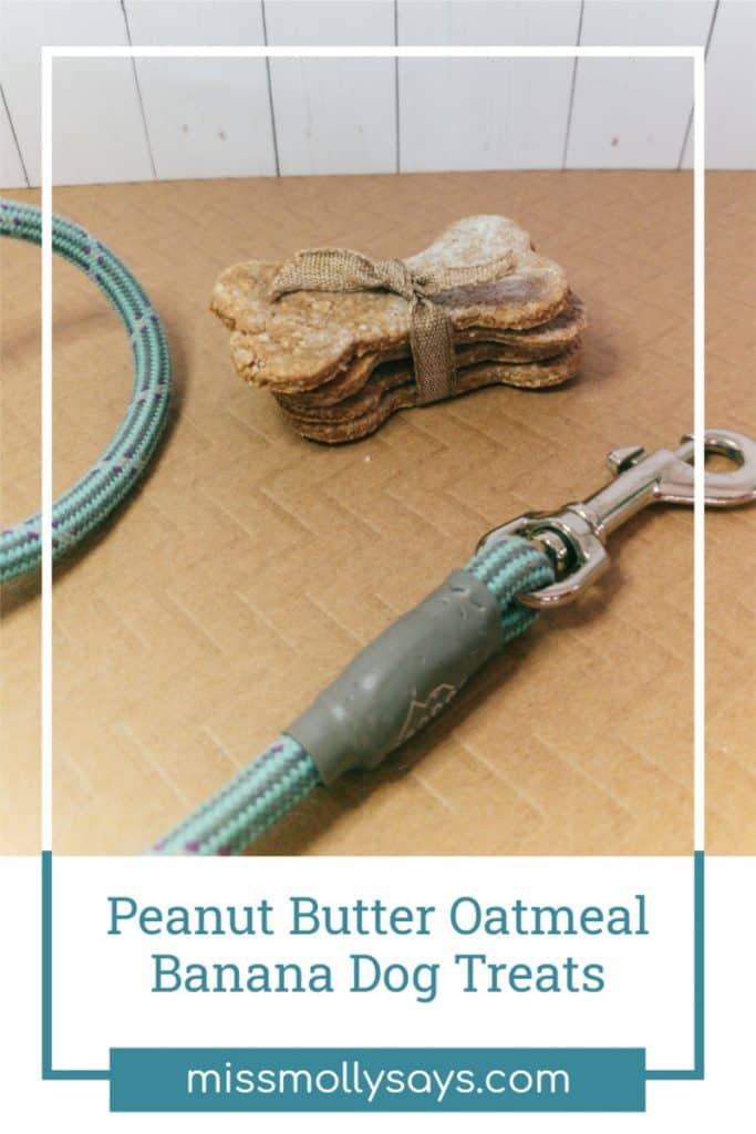 How to Make Peanut Butter Oatmeal Banana Dog Treats Miss Molly Says