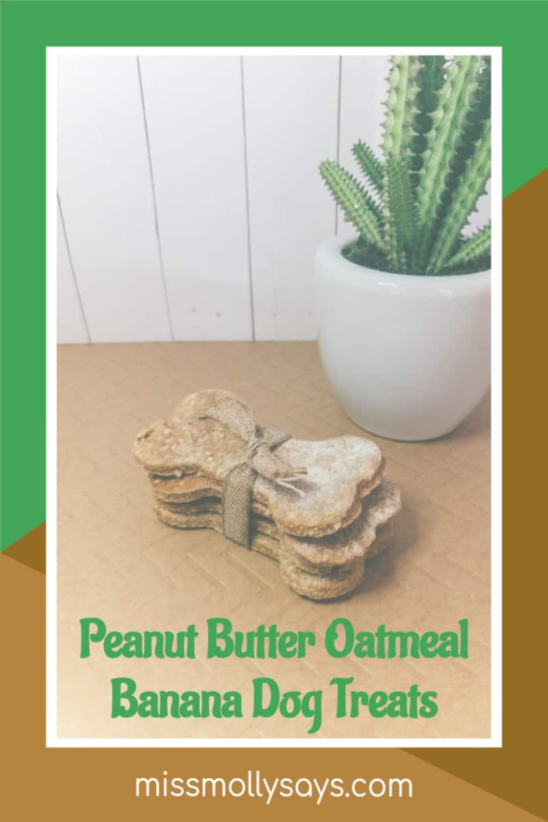 How to Make Peanut Butter Oatmeal Banana Dog Treats Miss Molly Says