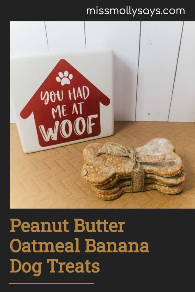 How to Make Peanut Butter Oatmeal Banana Dog Treats Miss Molly Says