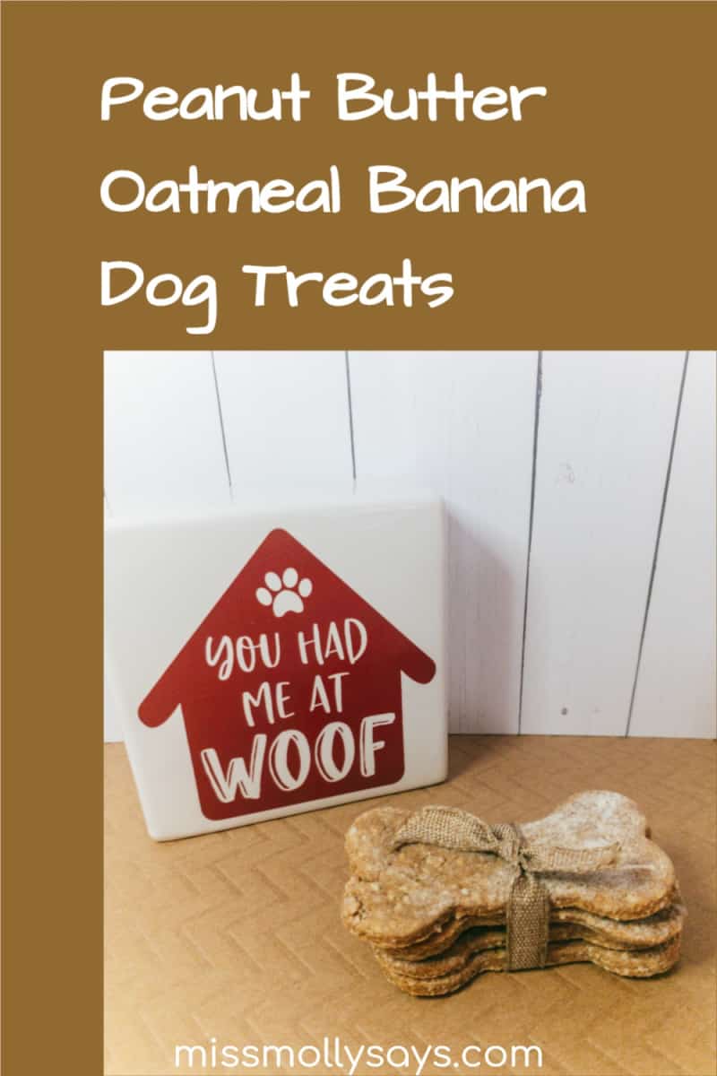How to Make Peanut Butter Oatmeal Banana Dog Treats Miss Molly Says
