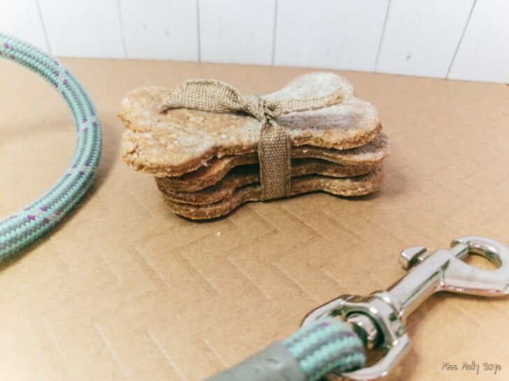 How to Make Peanut Butter Oatmeal Banana Dog Treats Miss Molly Says