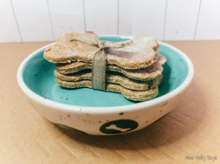 How to Make Peanut Butter Oatmeal Banana Dog Treats Miss Molly Says