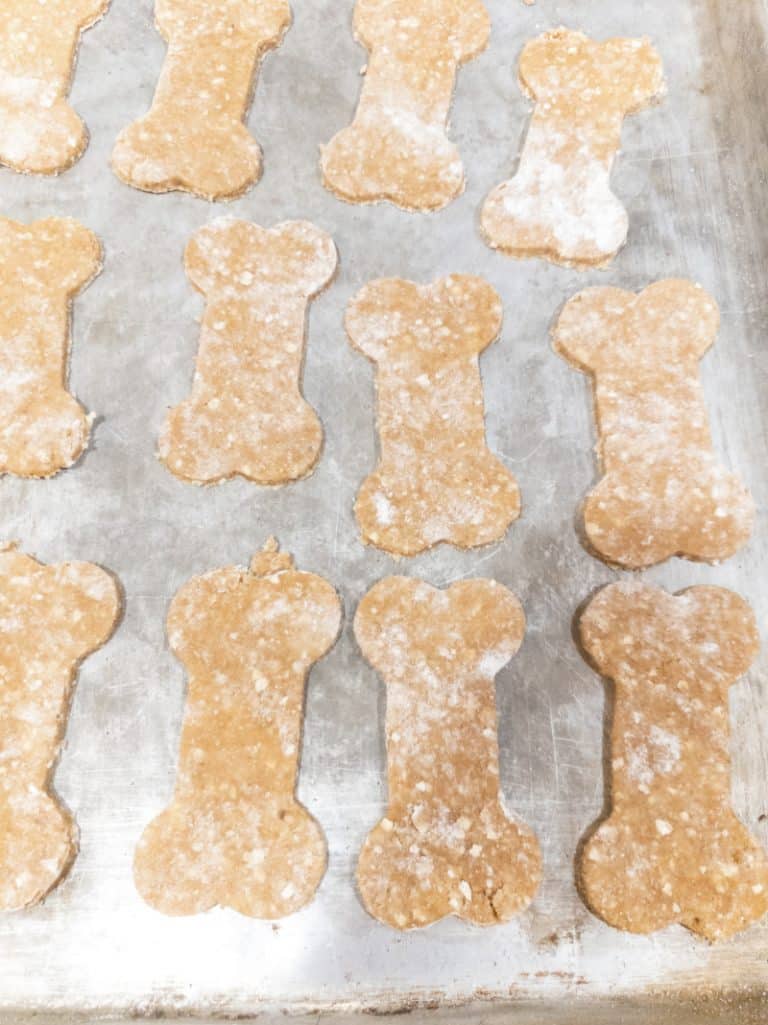 How to Make Peanut Butter Oatmeal Banana Dog Treats Miss Molly Says