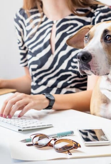 Working at home on laptop with dog sitting beside them