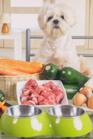 Preparing natural natural, organic food for pets at home