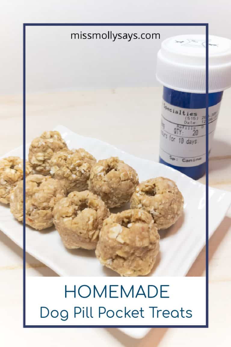 Homemade Dog Pill Pocket Treats (Easy NO Bake recipe)