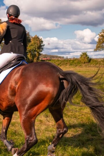 Riding Is Not Just For Kids! 6 Reasons You Can Ride At Any Age