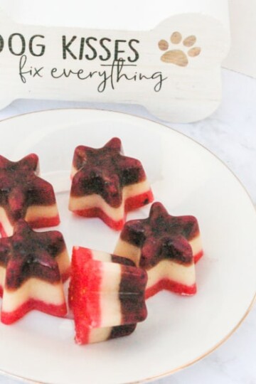 Nutritious Red White & Blue Dog Treats Your Pup Will Love
