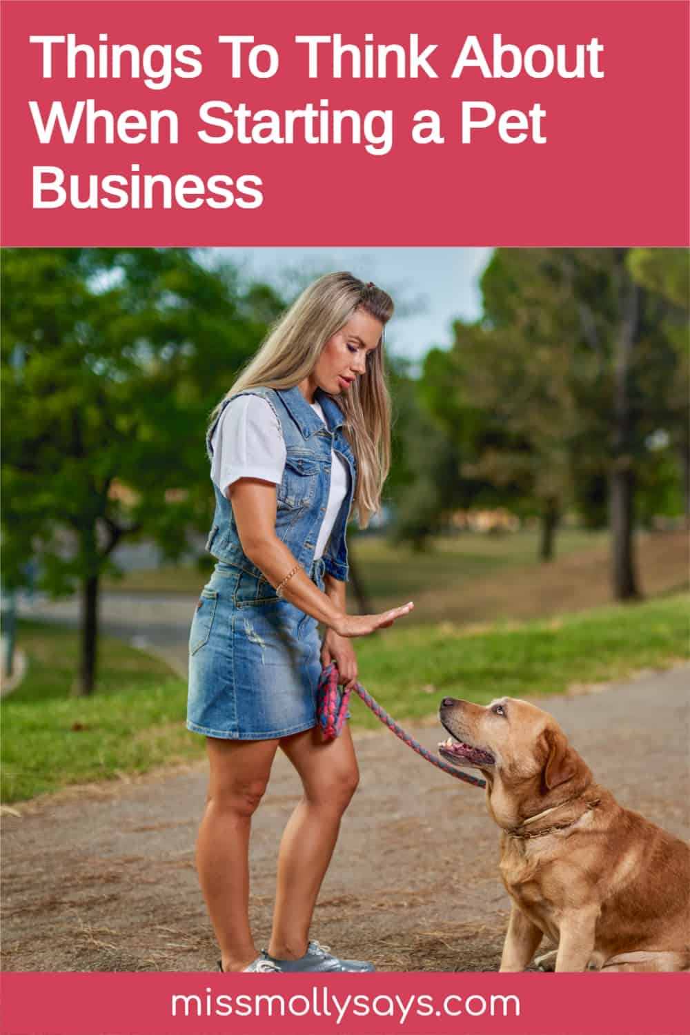Things To Think About When Starting a Pet Business Miss Molly Says
