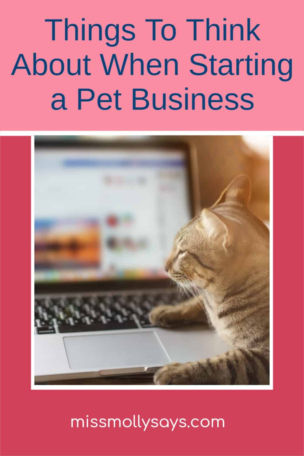 Things To Think About When Starting a Pet Business Miss Molly Says