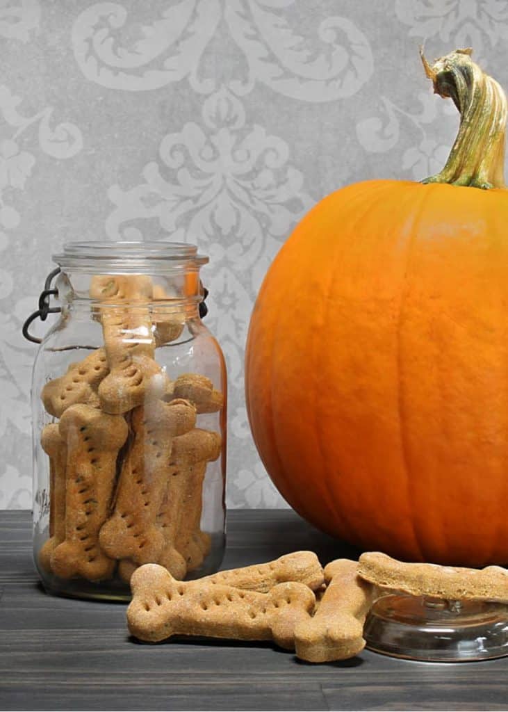 20+ EasytoMake Homemade Pumpkin Dog Treats