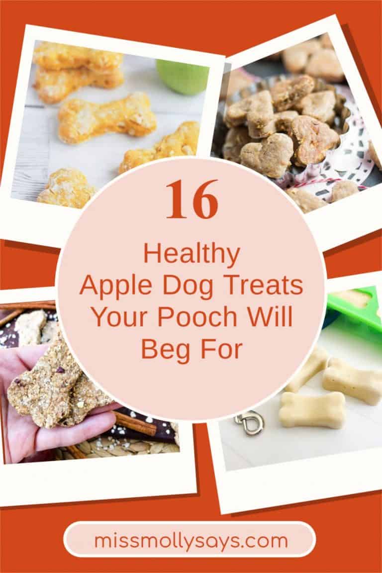 Picture of 16 Healthy Apple Dog Treats Your Pooch Will Beg For
