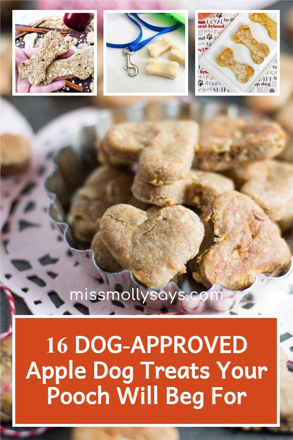 16 Healthy Apple Dog Treats Your Pooch Will Beg For