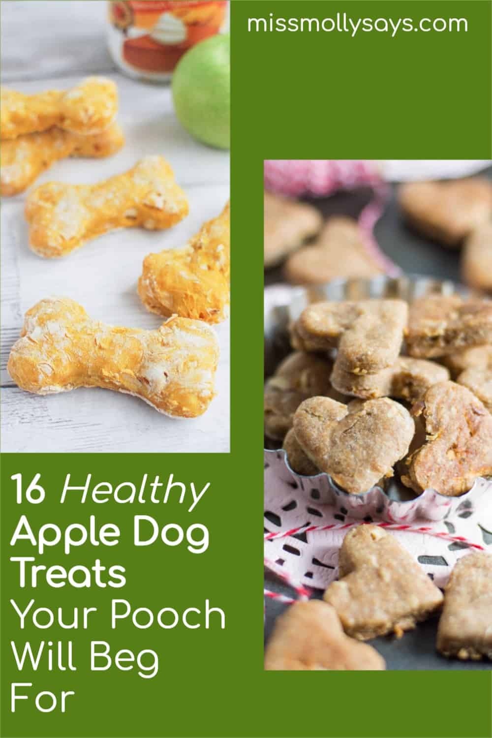 16 Healthy Apple Dog Treats Your Pooch Will Beg For Miss Molly Says
