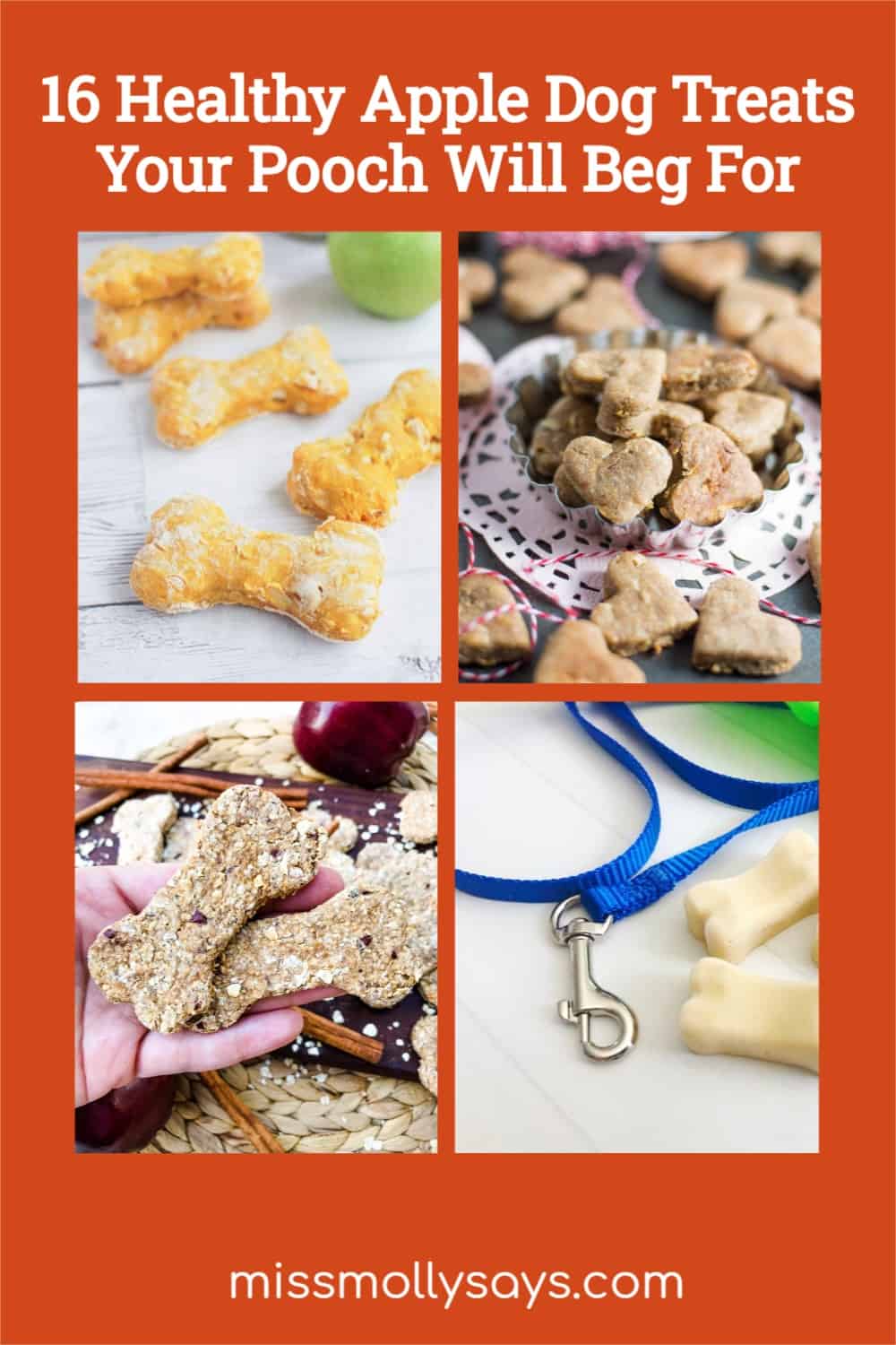 16 Healthy Apple Dog Treats Your Pooch Will Beg For - How To Prepare Healthy Apple Treats For Dogs