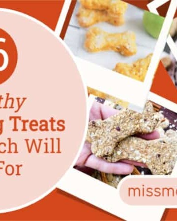 16 Healthy Apple Dog Treats Your Pooch Will Beg For